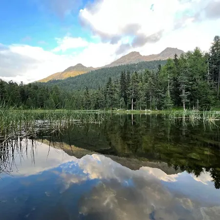 Chesa Munteratsch 1-zimmerwohnung 307 Typ B Apartamento *