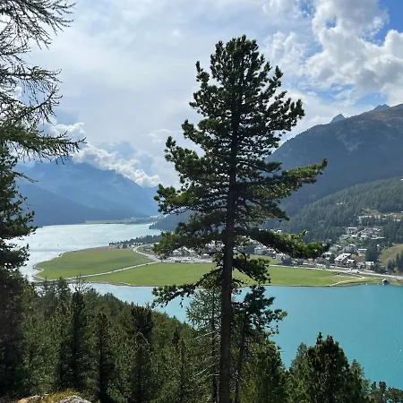 Chesa Munteratsch 1-zimmerwohnung 307 Typ B *