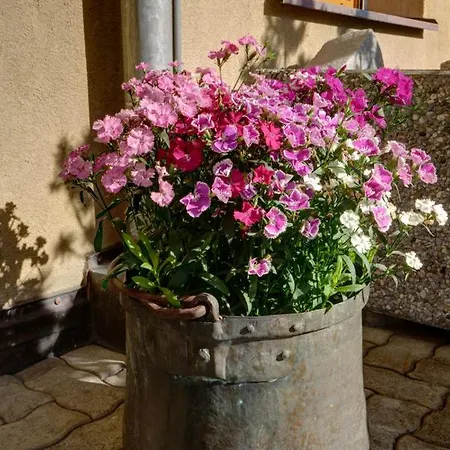 Chesa Munteratsch 1-zimmerwohnung 307 Typ B