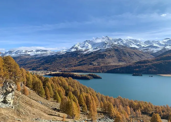 Apartment Chesa Munteratsch 1-zimmerwohnung 307 Typ B Silvaplana