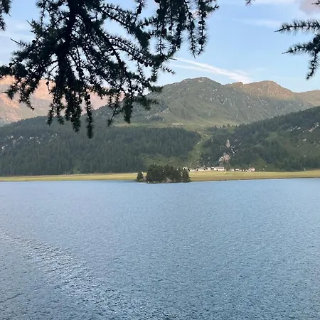 Chesa Munteratsch 1-zimmerwohnung 307 Typ B * Silvaplana