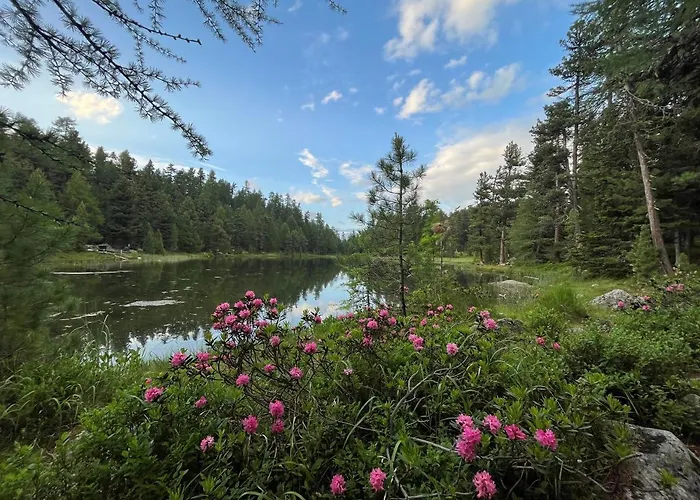 Chesa Munteratsch 1-zimmerwohnung 307 Typ B Silvaplana