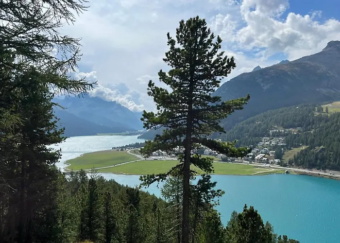 Chesa Munteratsch 1-zimmerwohnung 307 Typ B *