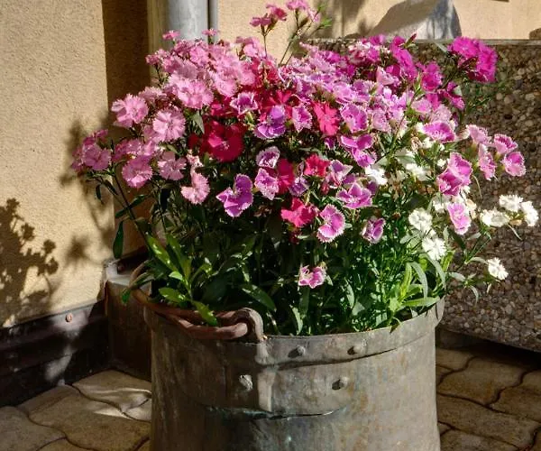 Chesa Munteratsch 1-zimmerwohnung 307 Typ B