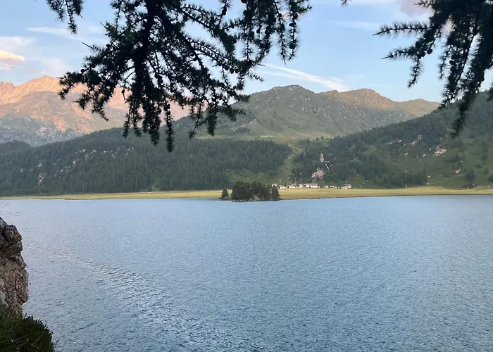 Chesa Munteratsch 1-zimmerwohnung 307 Typ B * Silvaplana