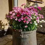 Chesa Munteratsch 1-zimmerwohnung 307 Typ B